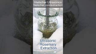 IceCold Rosemary Extraction with the Hielscher UP200HT Sonicator [upl. by Takashi]