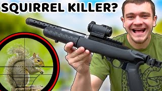 Ultimate Squirrel Hunting Setup Scope Cam [upl. by Sucitivel723]