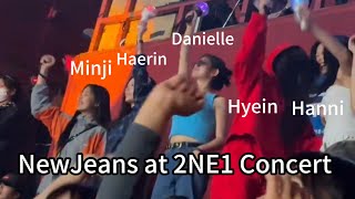 NewJeans at 2NE1 Concert Day 3 [upl. by Ferne]