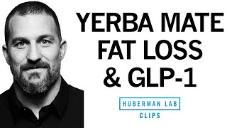 What is GLP1 amp How Does It Reduce Appetite amp Promote Weight Loss  Dr Andrew Huberman [upl. by Salvadore]