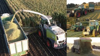 Steenweg chopping corn [upl. by Ymor]