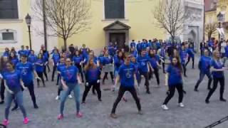 Egy szabad országértSzékesfehérvári AJTP flashmob [upl. by Annais]