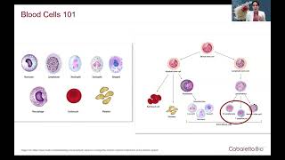 Realizing the CAR T Potential in Myositis amp Beyond [upl. by Oliy]