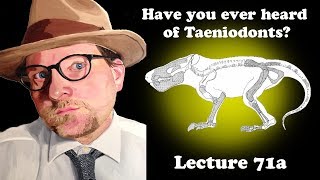 Lecture 71a Have you ever heard of Taeniodonts [upl. by Anirret]