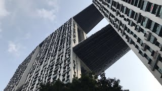 Iconic PinnacleDuxton Skyscraper and Scenic 50story Skybridge  Public Housing in Singapore [upl. by Galasyn]