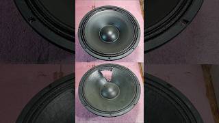 Ремонт динамиков DampB BampC RCF 18 Sound Beyma Electro Voice JBL Adamson Ciare BMS FaitalPRO [upl. by Hras]