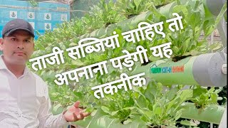 HYDROPONIC  Idea For Growing Fresh Vegetable [upl. by Ahcrop]