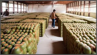 Cosechando Las Frutas Exóticas Más Deliciosas Del Mundo [upl. by Shipp]