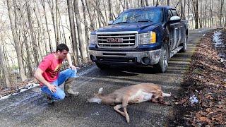 we hit a deer so we ate it [upl. by Eiclehc]