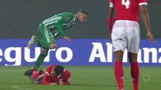 Taça de Portugal FPF  Rio Ave FC 3  2 ap SL Benfica [upl. by Kcirej]