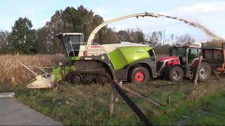 Maïs 2023  Claas Jaguar 960 Terra Trac  5x Massey Ferguson  4x Dezeure  muddy field  Verreth [upl. by Cutter]