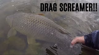 INSANE CARP RUN Catching Catfish and BIG Carp in the Rocks [upl. by Yenittirb231]