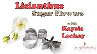 How to make Lisianthus Sugar Flowers with Innovative Sugarworks Flower Cutters [upl. by Eseekram]