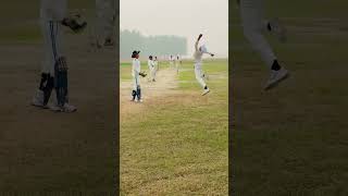 An incredible catch by our slip fielder What would you say about this moment Share your thoughts [upl. by Soilissav]