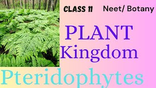 NEET PLANT KINGDOM UNCOVER THE KNOWLEDGE OF PTERIDOPHYTES CLASS11 neet plantsphysicswallah [upl. by Ainesej]