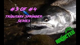 quotHowToquot  Rig and Fish with Spinners for Spring Chinook Salmon [upl. by Anna-Diana63]