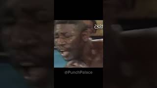 Mike Tyson VS Jose Ribalta [upl. by Hazel758]