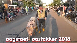 Oogststoet Oostakker 2018 [upl. by Anelram]