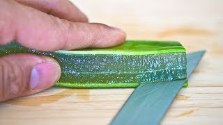 How to Make Aloe Vera Gel in 90 Seconds [upl. by Buyse306]