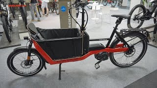 Riese und Müller Lasten EBike Packster 40 Vorstellung [upl. by Nanahs576]