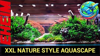 Nature Style Aquascape [upl. by Portugal]