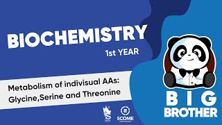 Metabolism of individual AAs Glycine Serine and Threonine [upl. by Blanch]