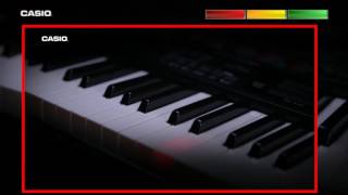 Casio LK 160 Key Lighting Keyboard [upl. by Aihsemak161]