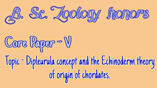 Dipleurula concept and the Echinoderm theory of origin of chordates [upl. by Chappie]