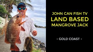 Land Based Mangrove Jack Fishing Gold Coast [upl. by Deirdra]