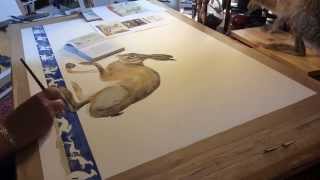 Painting over Easter no 2 Hares Egg [upl. by Eenwahs]