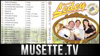 Musette  Franck Ledey  La Marche Des Cheminots [upl. by Adnawaj]