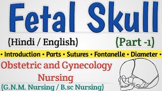 Fetal Skull In Hindi  Fetal Skull Nursing Lecture  Fetal Skull Diameters Part 1 [upl. by Yorle768]