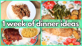 EASY DINNER IDEAS  What’s For Dinner 325  1WEEK OF REAL LIFE FAMILY MEALS [upl. by Innis]