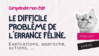 🎙️ S01 E05  11 MILLIONS DE CHATS EN DANGER [upl. by Adams]