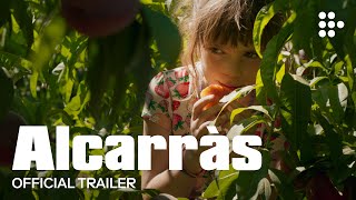 ALCARRÀS  Official Trailer 2  Now Streaming on MUBI [upl. by Ahsennek64]