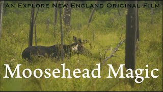 Moosehead Magic Full Film [upl. by Lhary]