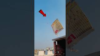 FLY A BIGGEST KITE 🤩 shorts pkcrazyexperiments [upl. by Eleumas]