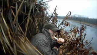 Quackmasters Duck Hunting GoPro HD Hero [upl. by Tedder]