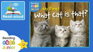 What Cat Is That 🐈 ReadAloud Book 📖 Kids Nonfiction [upl. by Vincenta]