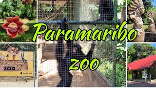 Paramaribo Zoo november 2024 [upl. by Itsim]