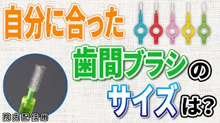 【クラプロックス】自分に合った歯間ブラシの選び方 [upl. by Novia]