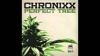 Chronixx  Perfect Tree Official Audio [upl. by Ollehcram177]