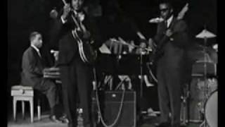 Otis Rush Berlin1966  All Your Love [upl. by Madelaine867]