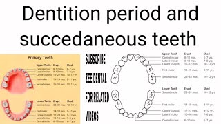 Dentition period and succedaneous teeth  zee dental  short notes [upl. by Limann]