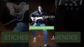 STITCHES SHAWN MENDES COVER [upl. by Tega563]