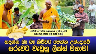 මෙන්න බලාපල්ලා උමංදාවේ හදන්න බෑ කියපු ලීක්ස් [upl. by Eberhard]