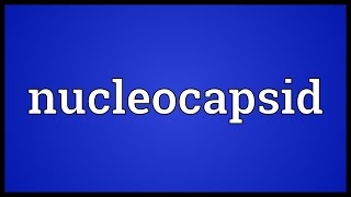 Nucleocapsid Meaning [upl. by Gretchen]