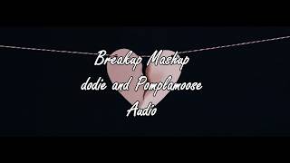 Breakup Mashup  Pomplamoose and dodie  Audio [upl. by Gregoire608]