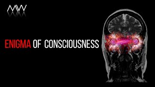 What Is Consciousness What is Its Purpose [upl. by Caras271]