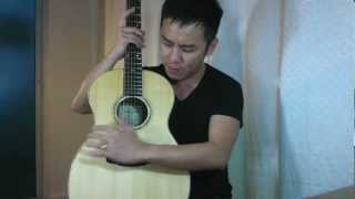 Goodall HRP14 Honduran Rosewood Mastergrade Italian Spruce Guitar Review in Singapore [upl. by Ulah]